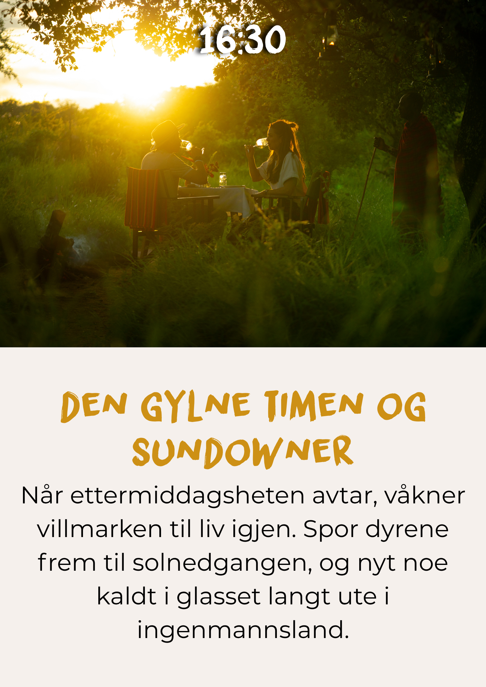 Safari game drive i den gylne timen, etterfulgt av en sundowner