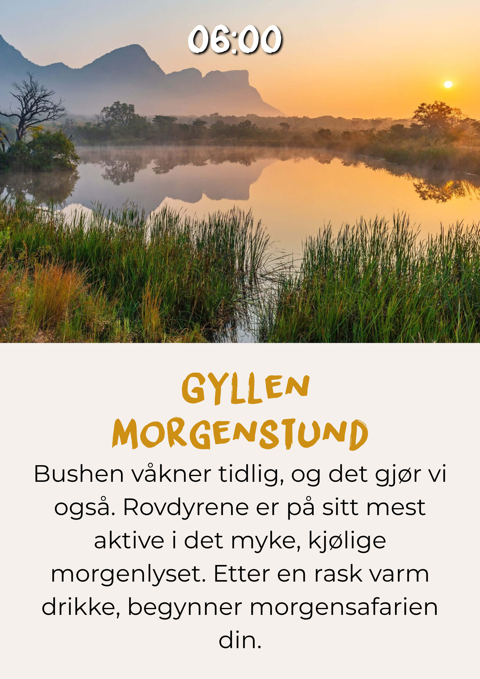 Tidlig morgensafari under den gylne timen