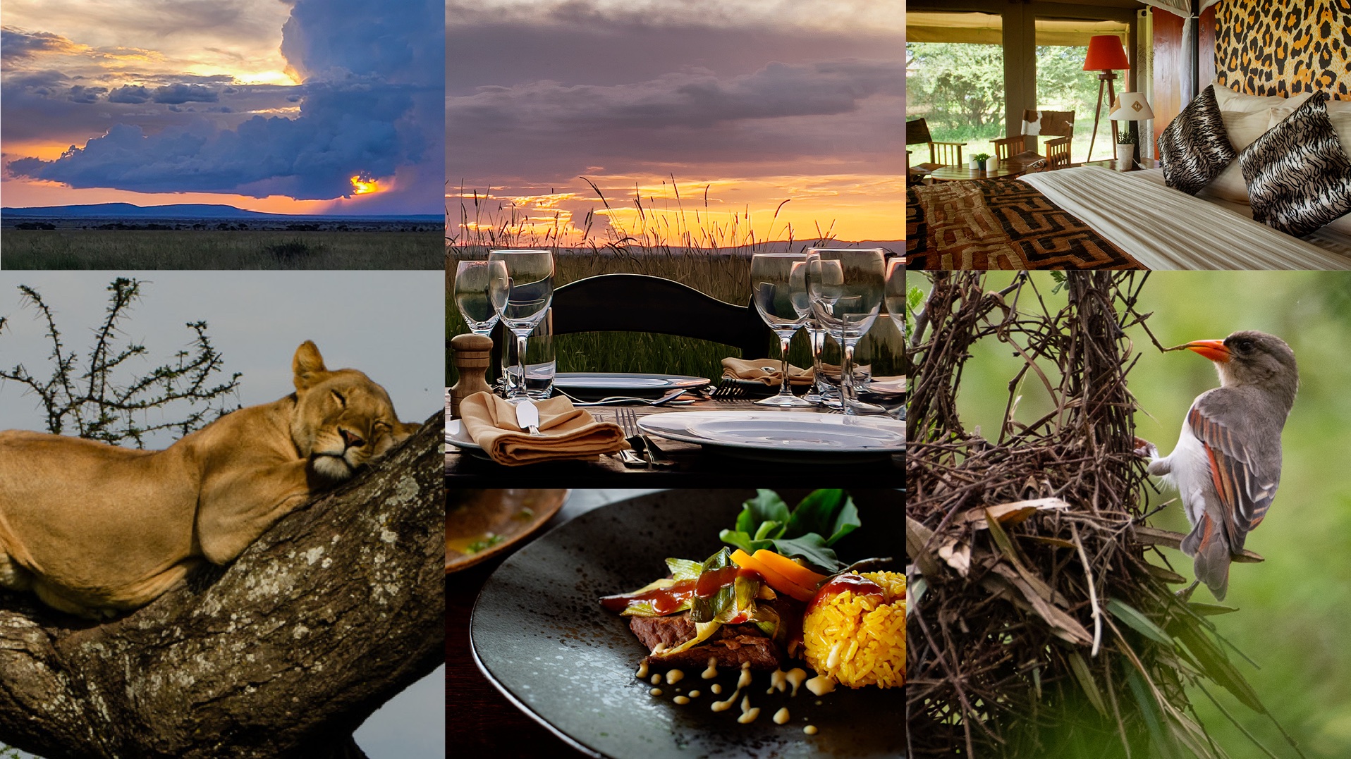 Sound of Silence Serengeti camp