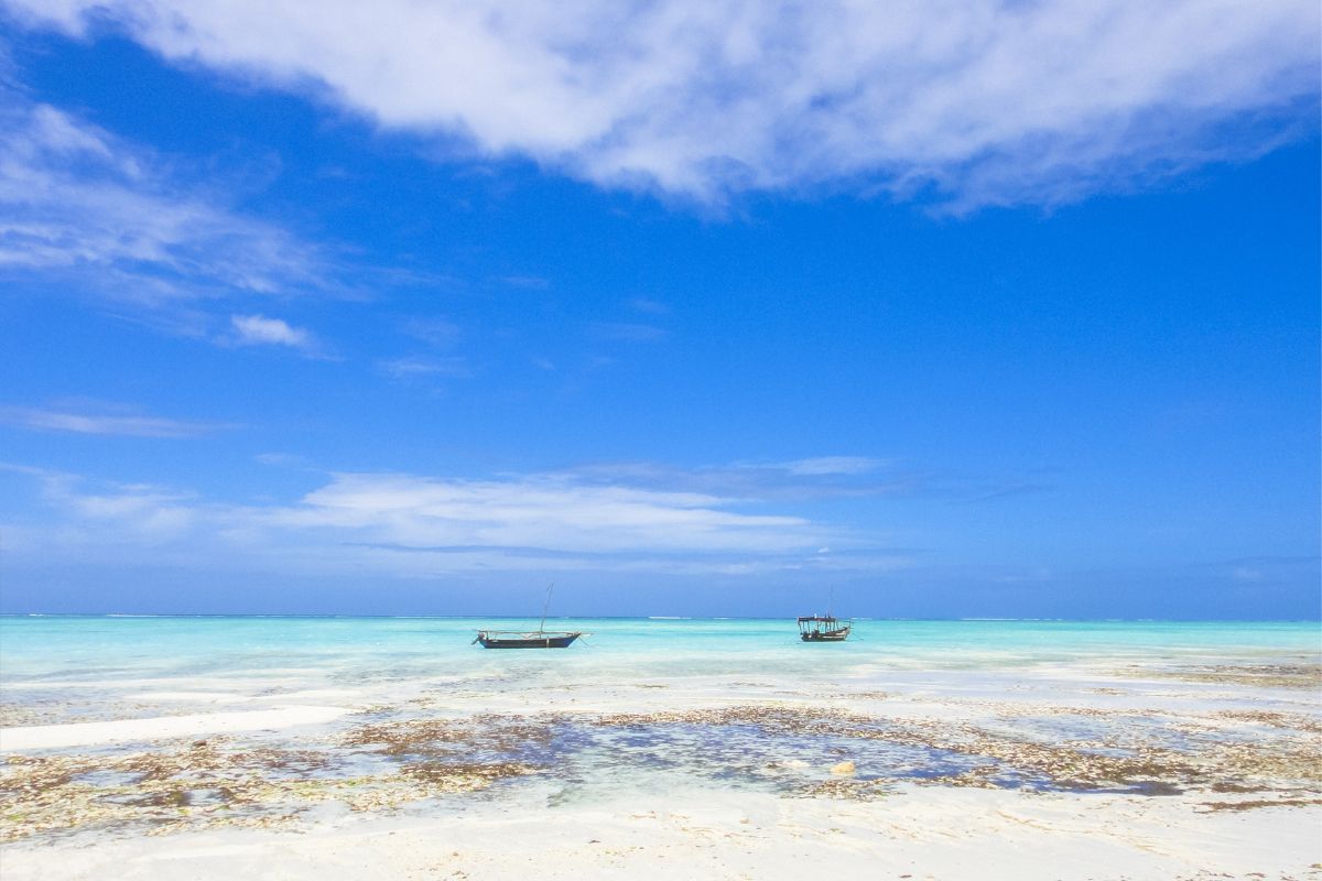 Fanjove island Tanzania