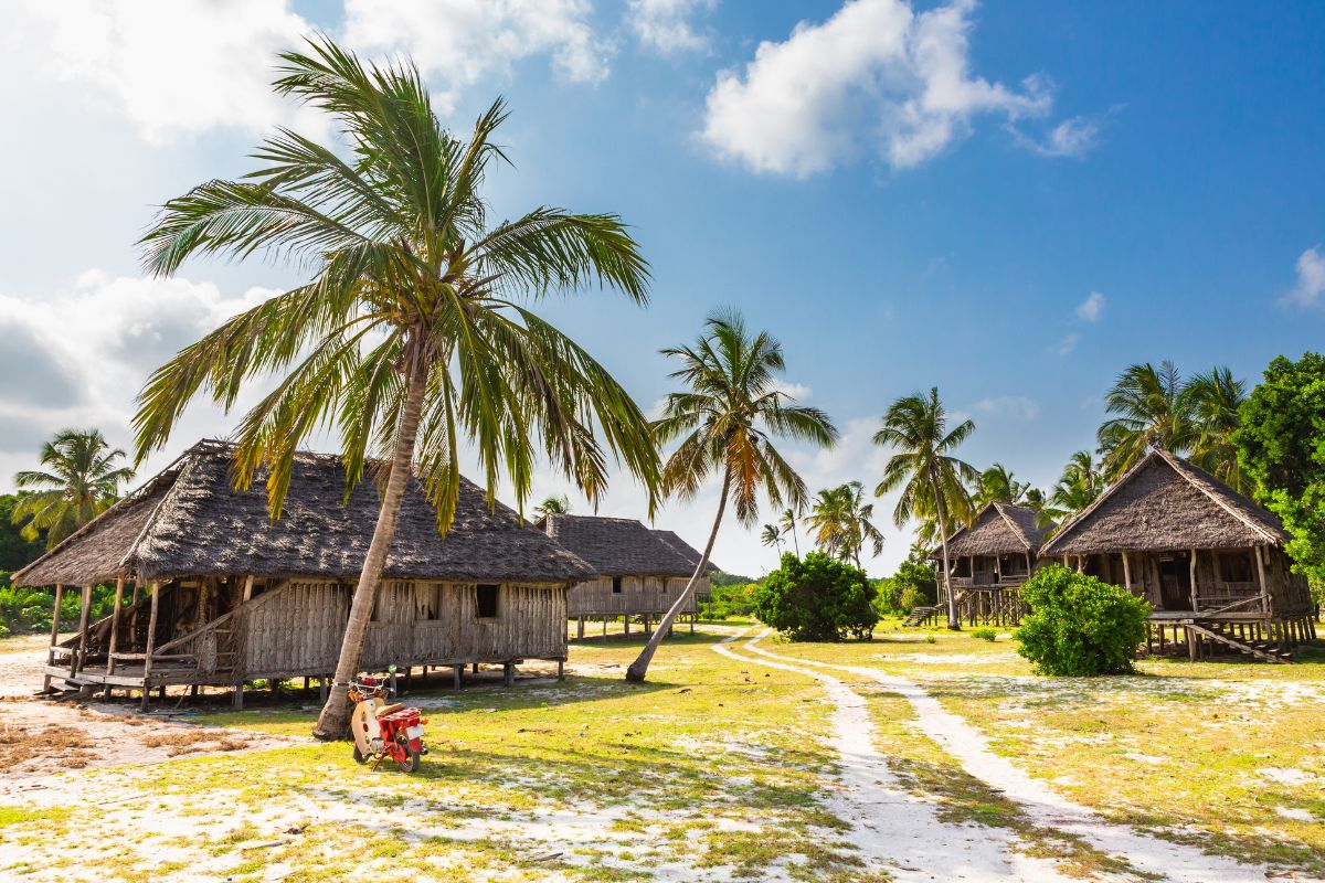 Hytter på grønt gress med palmetrær rundt