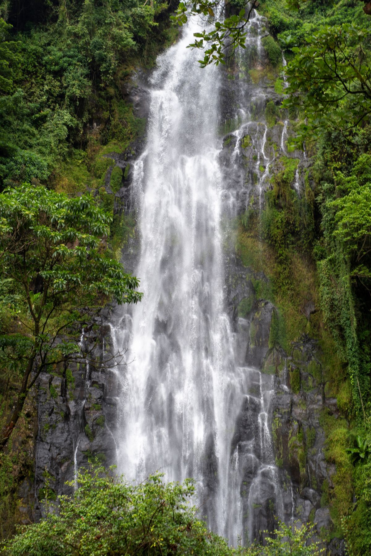 Materuni Waterfalls Tanzania