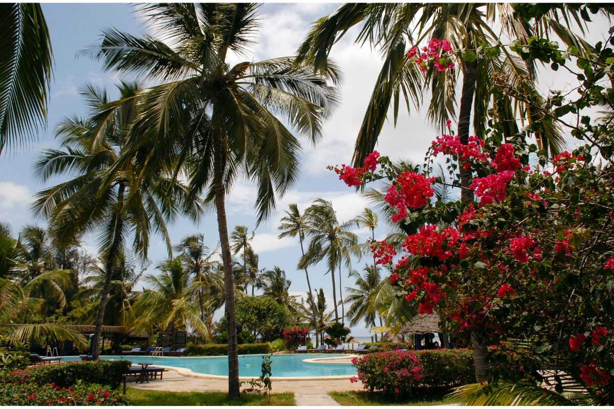 Royal Zanzibar Beach Resort basseng, palmer og rosa blomster